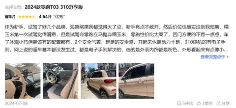 预算5万想买纯电小车,零跑T03是否值得买?听听车主怎么说