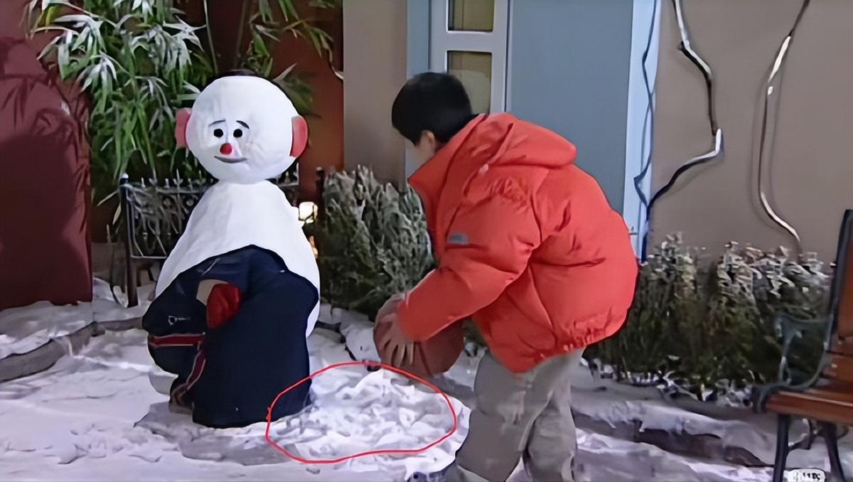 《家有儿女》里的雪竟然是毛巾