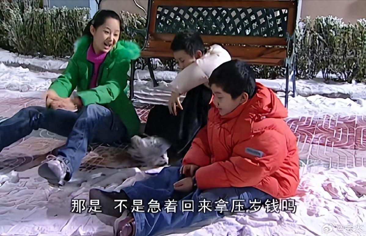 《家有儿女》里的雪竟然是毛巾