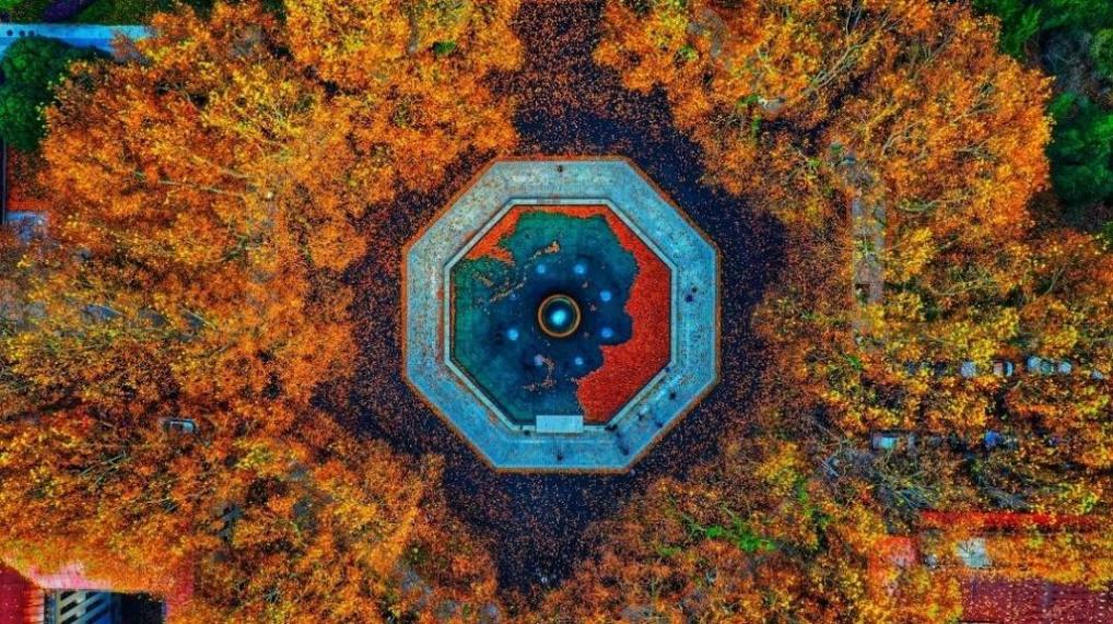 奋战百天!2025来东南大学,寻找青春的答案!