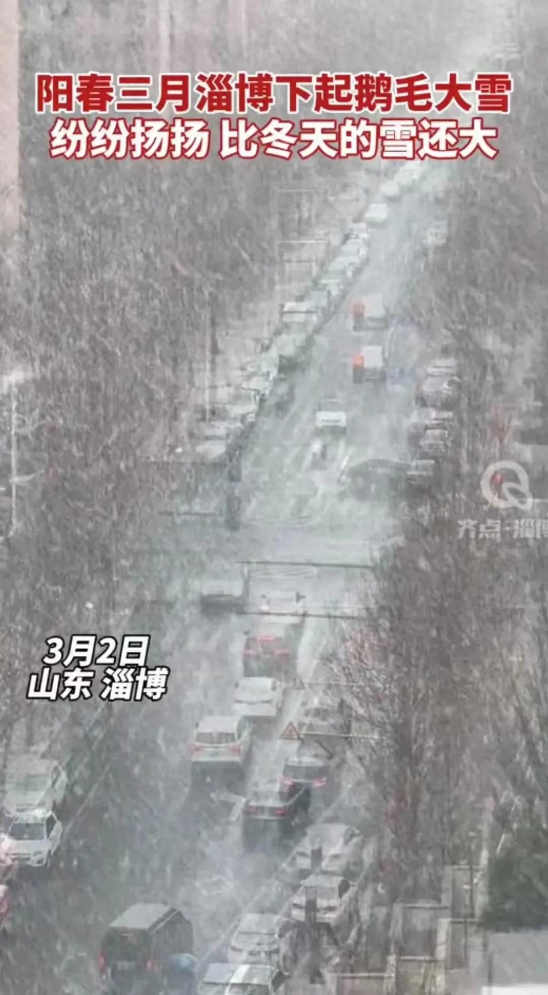 三月飞雪是吉兆还是预警?山东这场暴雪藏着什么天机?